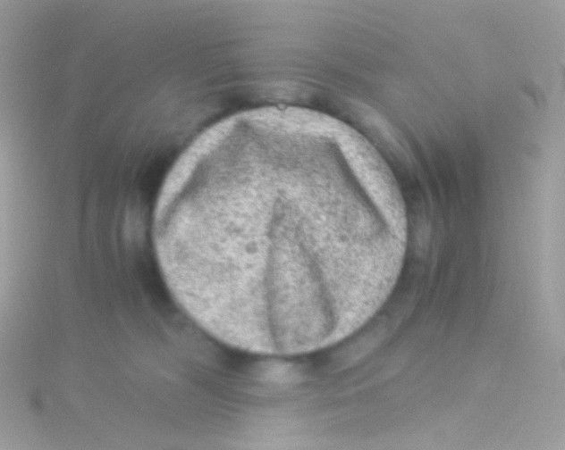 X0000115060326200911231220