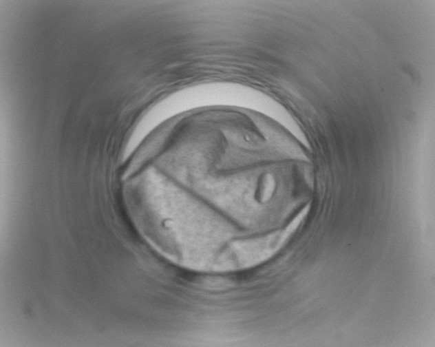 X0000115060327200911231220