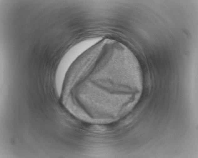 X0000115060328200911231220