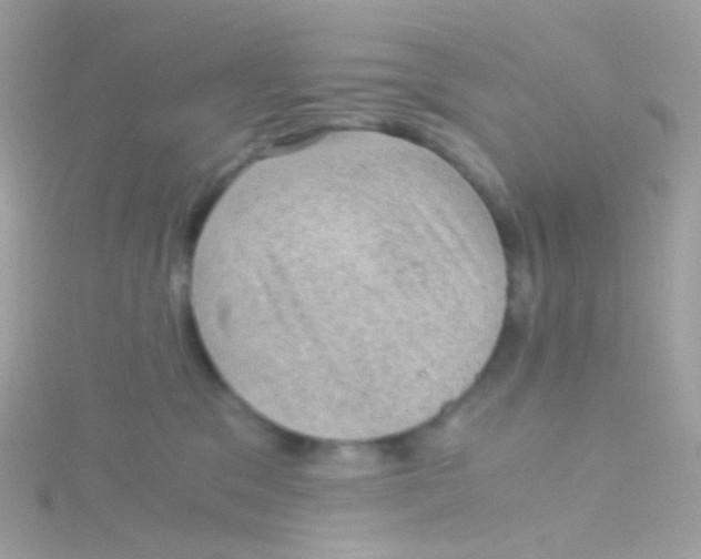 X0000115060329200911231220