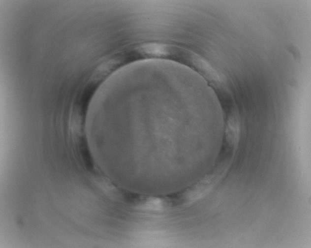 X0000115060330200911231220