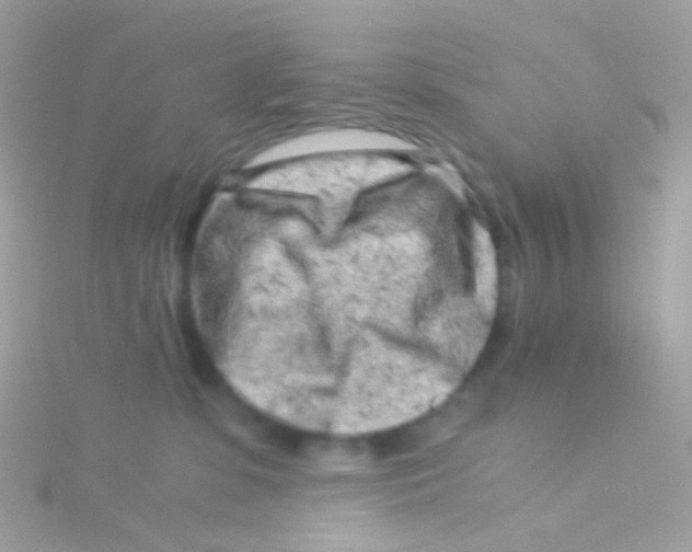 X0000115060331200911231220