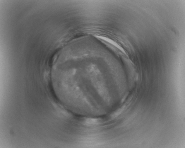 X0000115060332200911231220