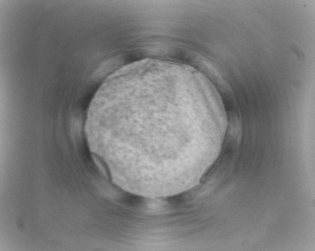 X0000115060333200911231220