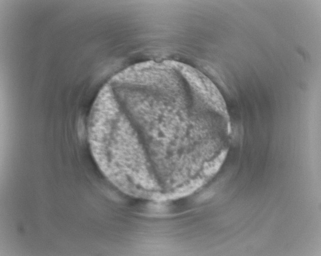 X0000115060335200911231220