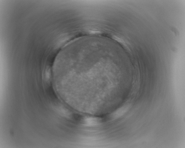 X0000115060336200911231220