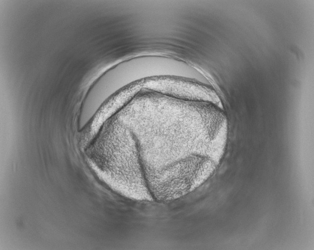 X0000115060337200911231219