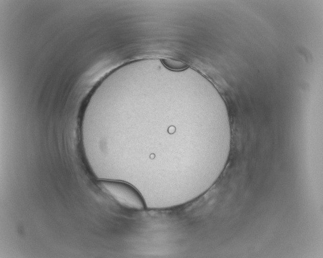 X0000115060338200911231219