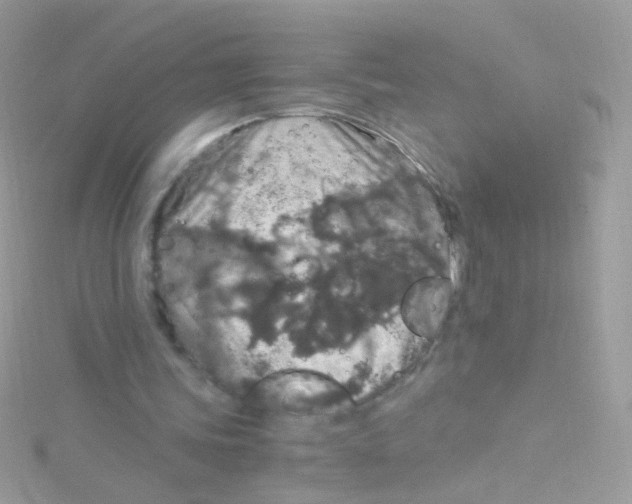 X0000115060339200911231219