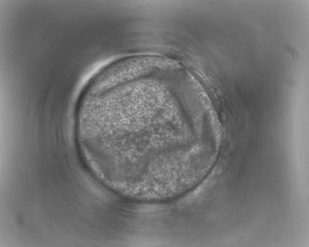 X0000115060342200911231219