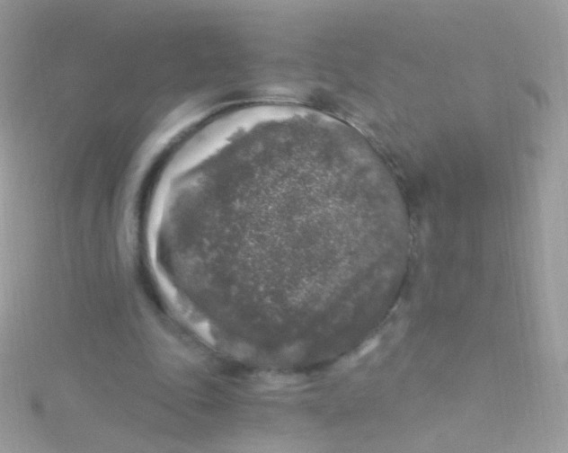 X0000115060343200911231219