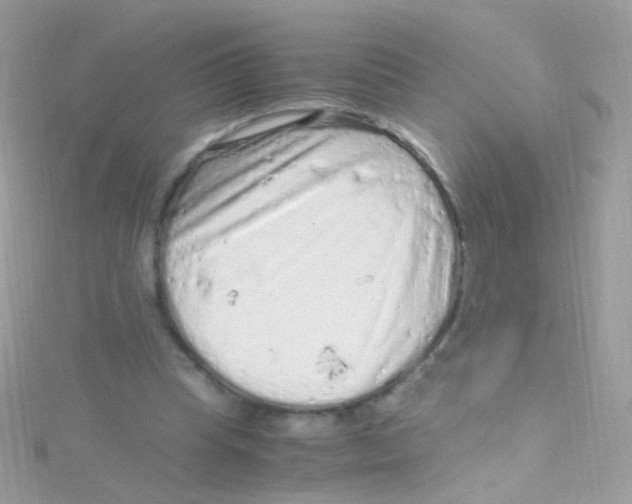 X0000115060345200911231219