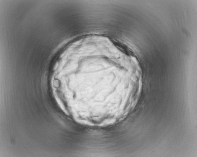 X0000115060346200911231219