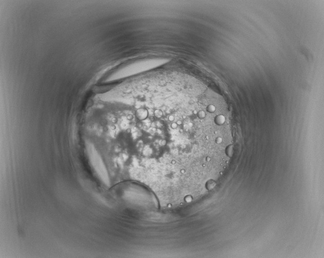 X0000115060347200911231219