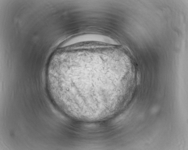 X0000115060349200911231219