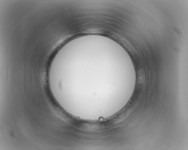 X0000115060351200911231219