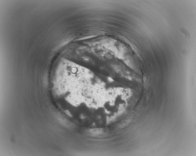 X0000115060353200911231220