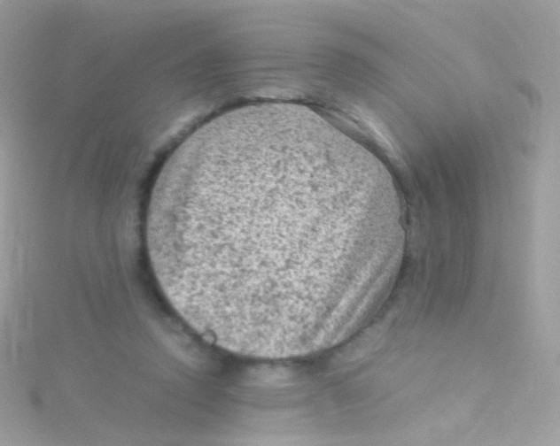 X0000115060354200911231220