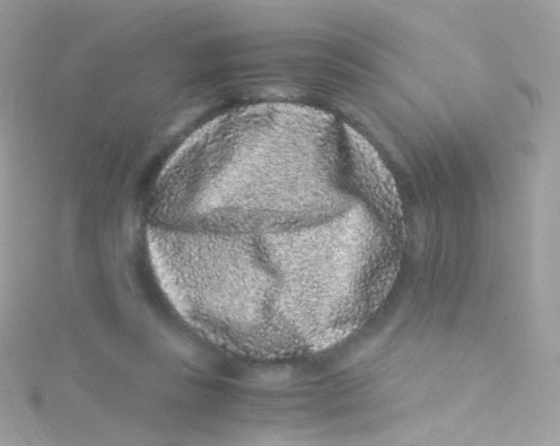 X0000115060355200911231220