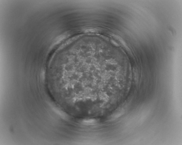 X0000115060357200911231220