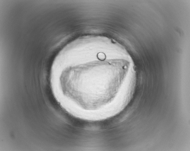 X0000115060358200911231220