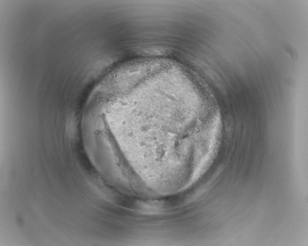 X0000115060359200911231220