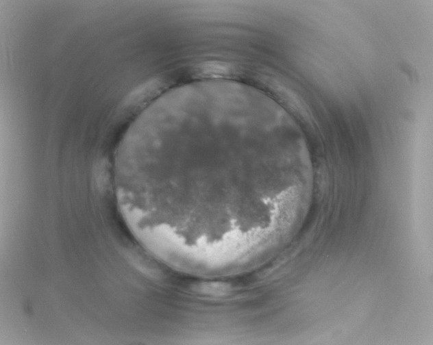 X0000115060361200911231220