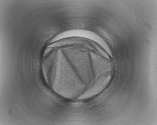 X0000115060362200911231220