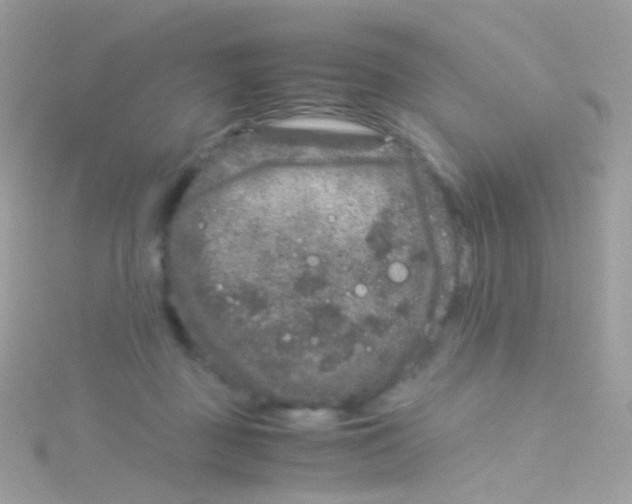 X0000115060363200911231220