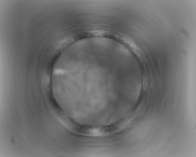 X0000115060365200911231220