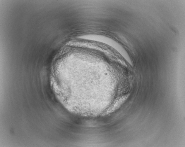 X0000115060366200911231220