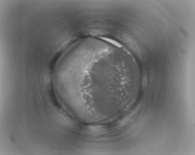 X0000115060367200911231220