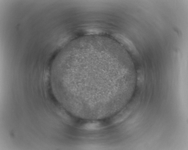 X0000115060369200911231220