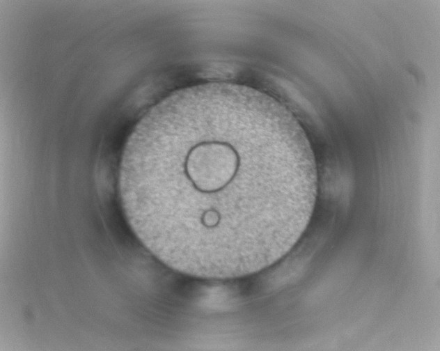 X0000115060370200911231220