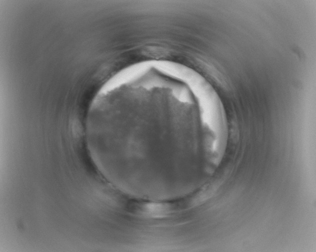 X0000115060371200911231220