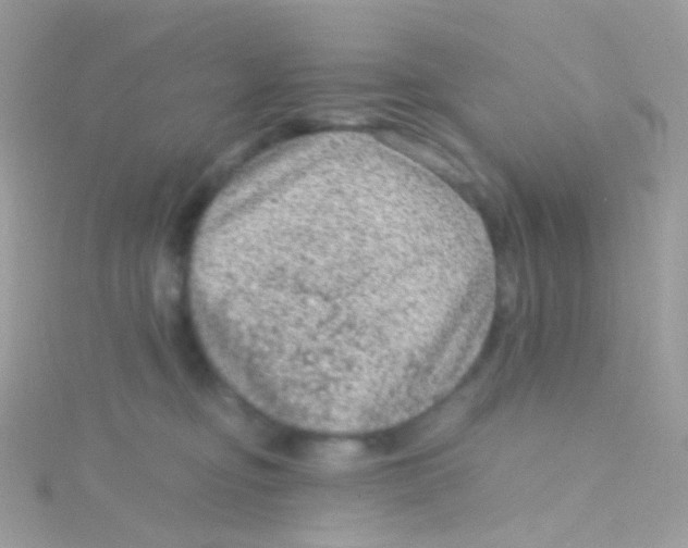 X0000115060374200911231220