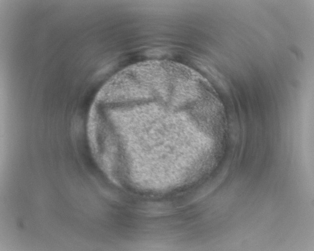 X0000115060375200911231220