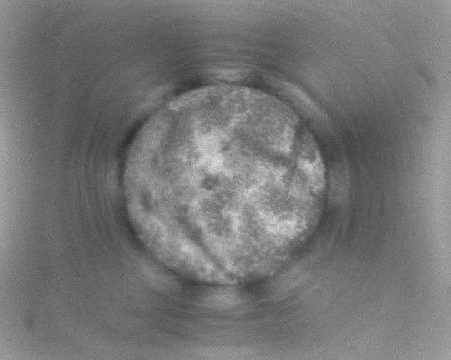 X0000115060377200911231220