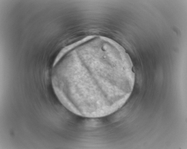 X0000115060378200911231220