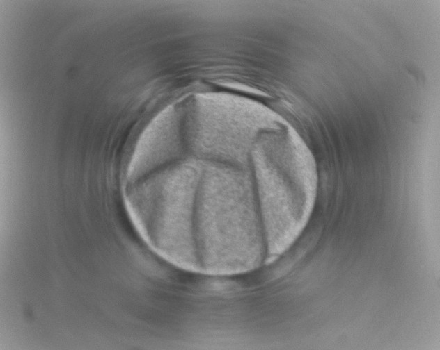 X0000115060379200911231220