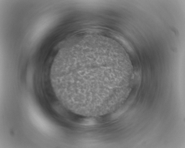 X0000115060381200911231220