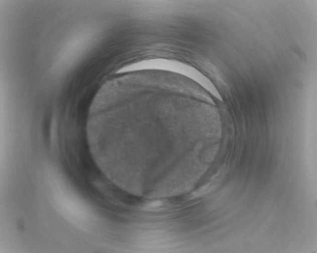 X0000115060382200911231220