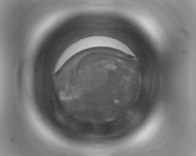 X0000115060383200911231220