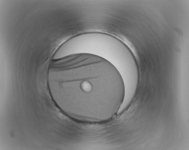 X0000115060385200911231219