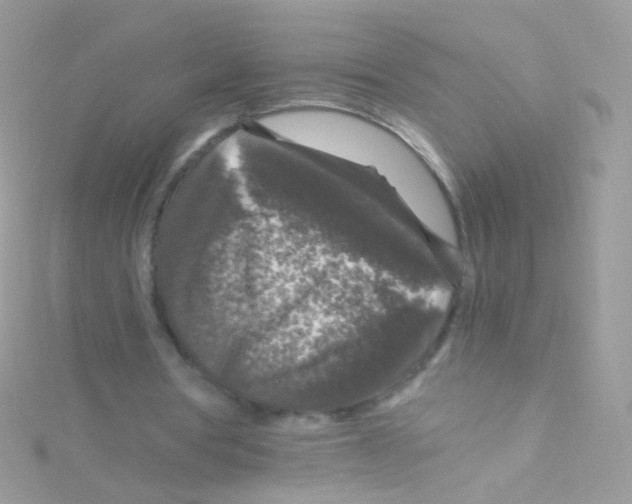 X0000115060386200911231219