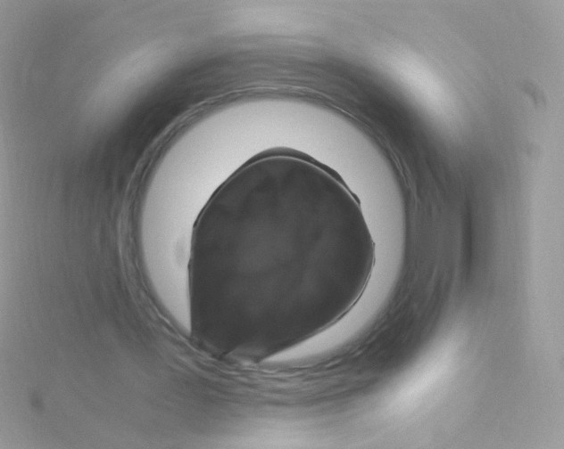 X0000115060387200911231219