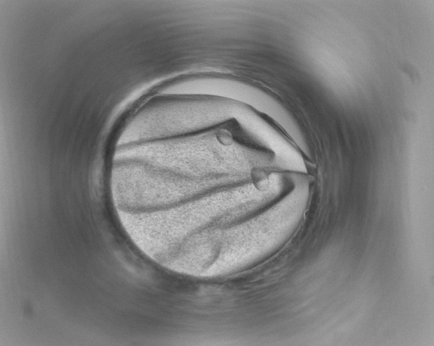 X0000115060388200911231219