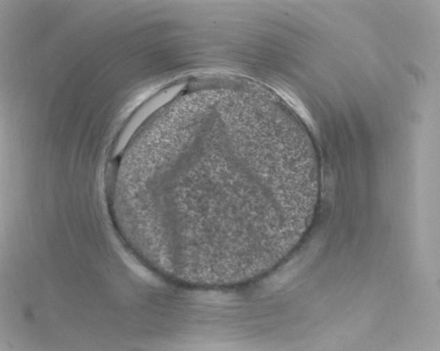 X0000115060389200911231219