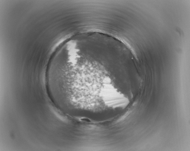 X0000115060390200911231219