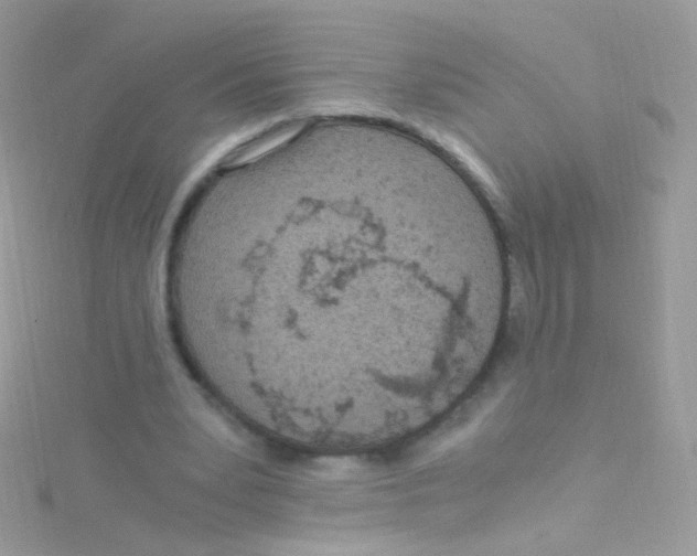 X0000115060391200911231219